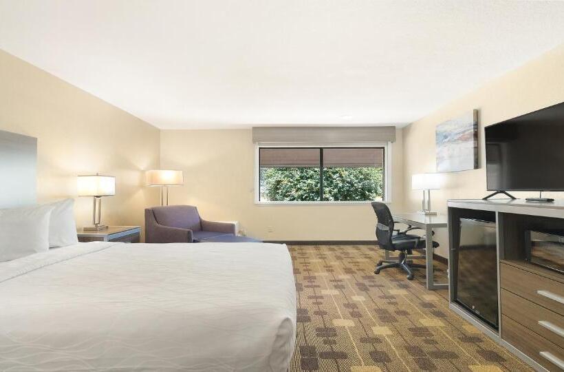 스탠다드 룸 킹사이즈 침대, Best Western Amador Inn