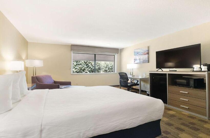 스탠다드 룸 킹사이즈 침대, Best Western Amador Inn