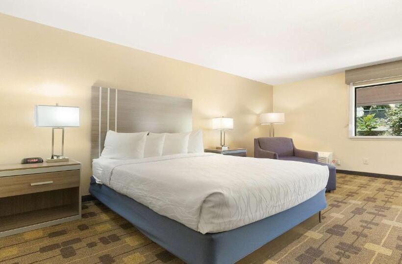 스탠다드 룸 킹사이즈 침대, Best Western Amador Inn