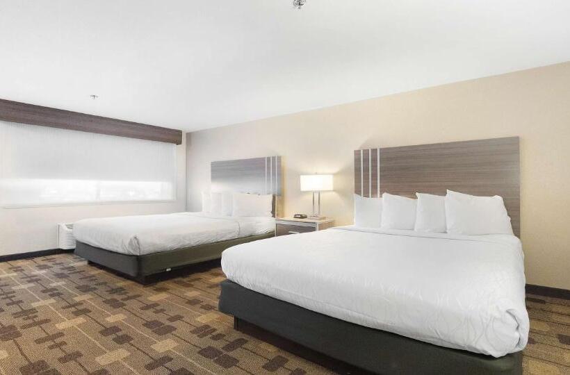 스탠다드 룸, Best Western Amador Inn