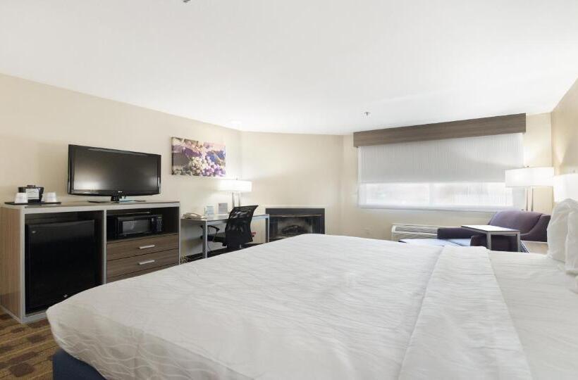 스탠다드 룸 킹사이즈 침대, Best Western Amador Inn