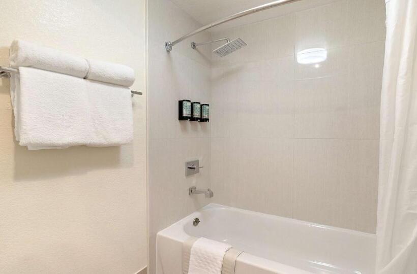 스탠다드 룸 더블 침대 2개, Best Western Amador Inn