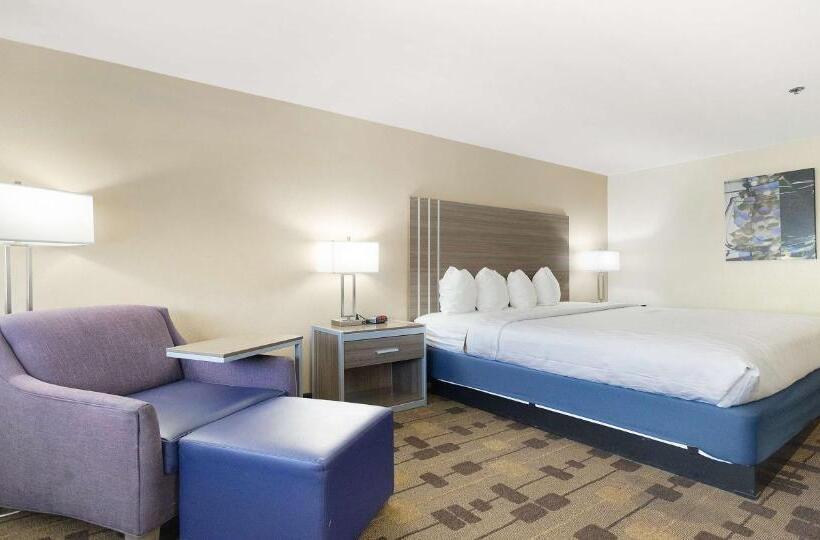 스탠다드 룸 킹사이즈 침대, Best Western Amador Inn