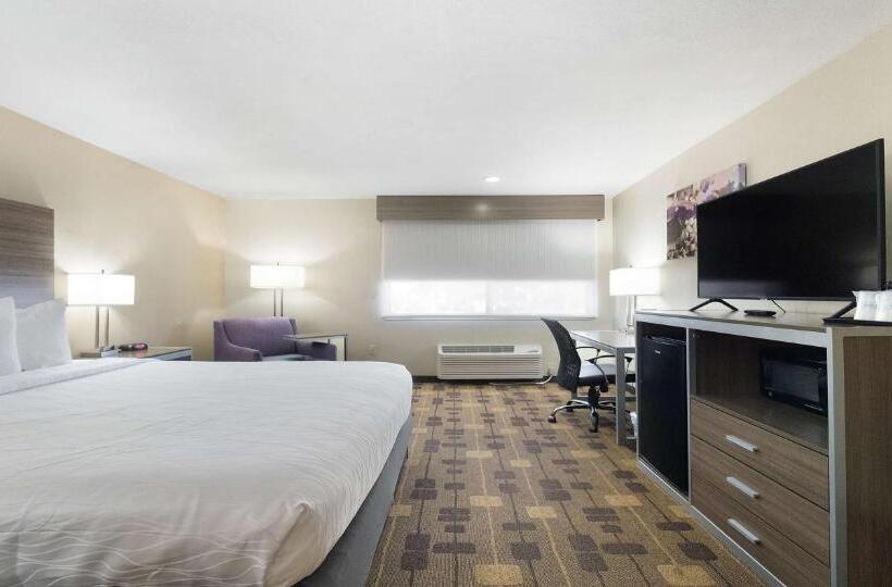 스탠다드 룸, Best Western Amador Inn