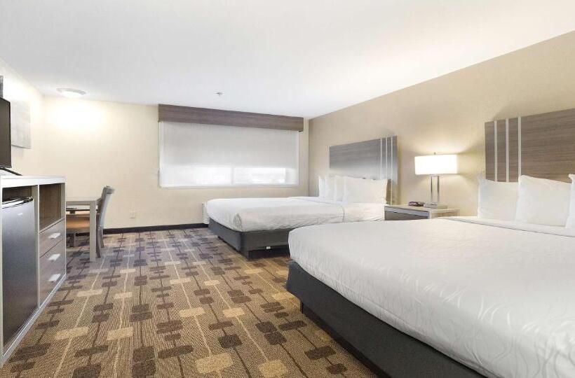 스탠다드 룸 더블 침대 2개, Best Western Amador Inn