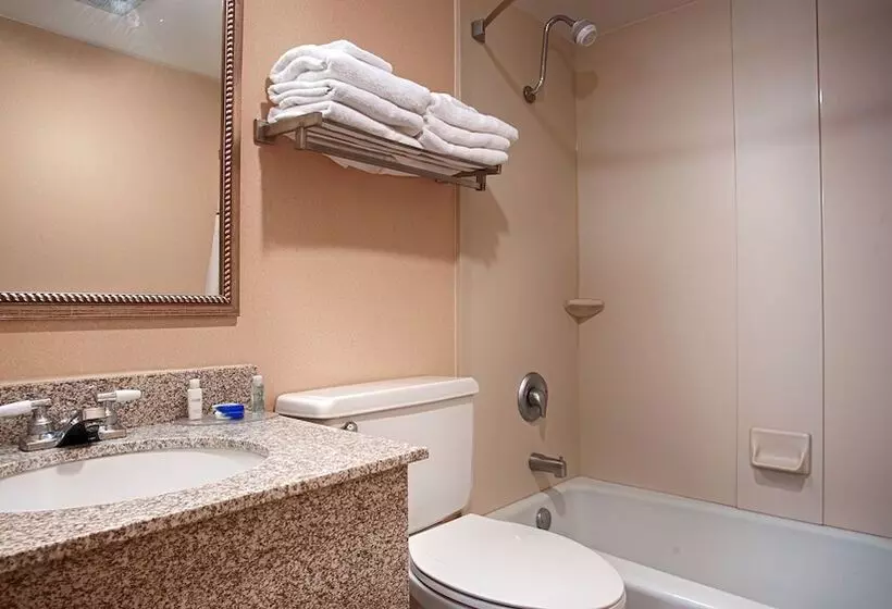 Sviitti, Best Western Bridgeview