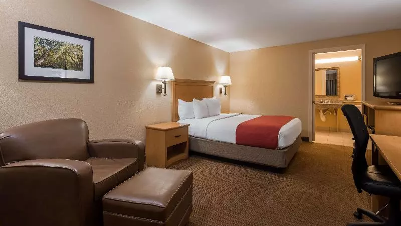キングサイズベッドのスタンダードルーム, Surestay Plus By Best Western Covington