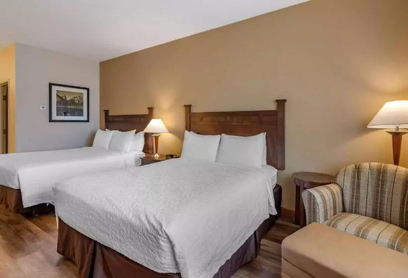 اتاق استاندارد, Best Western Desert Inn