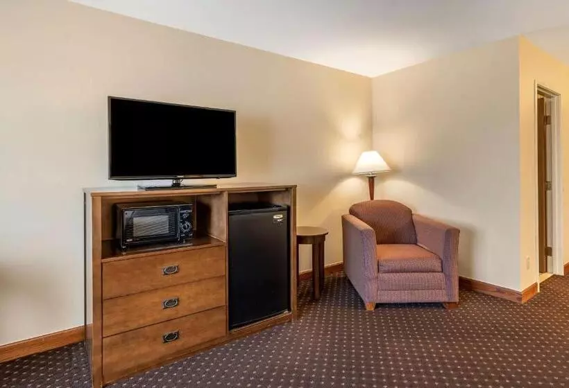 اتاق استاندارد با تخت بزرگ, Best Western Desert Inn