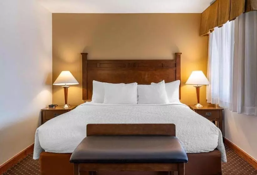 اتاق استاندارد با تخت بزرگ, Best Western Desert Inn