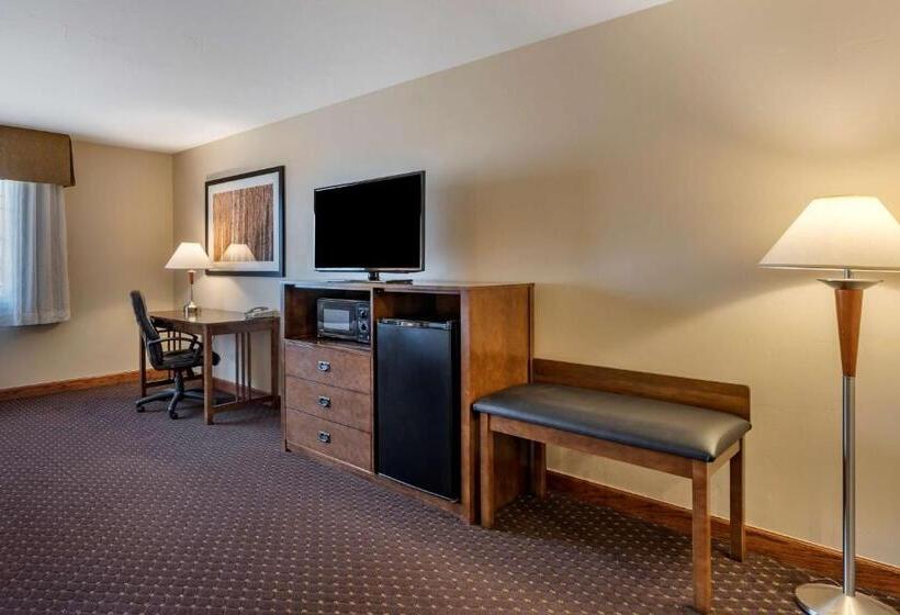 غرفة قياسية لذوى الاحتياجات الخاصة, Best Western Desert Inn