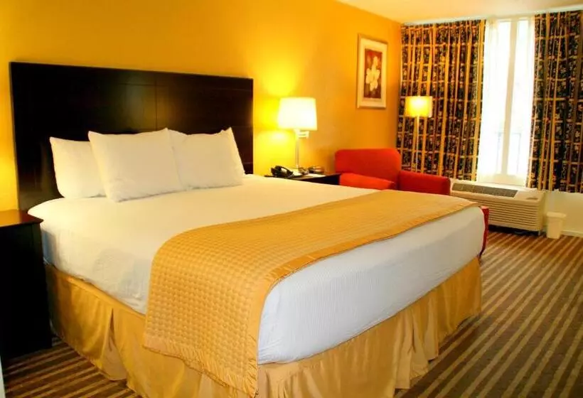 身障者適用キングサイズベッドルーム, Best Western Heritage Inn   Chattanooga