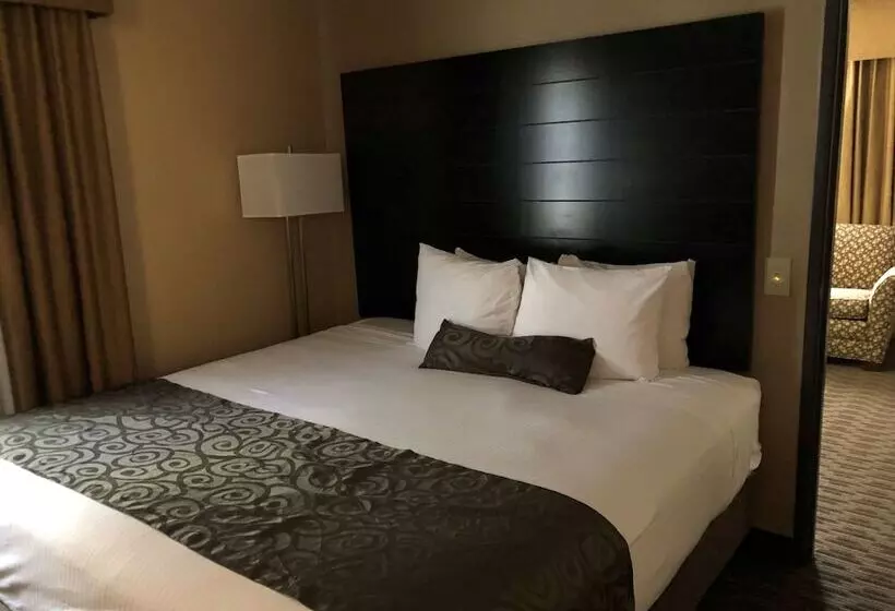 سوییت, Best Western Innsuites Tucson Foothills Hotel & Suites