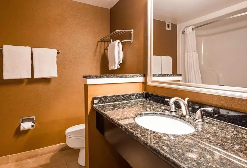 ２ダブルベッドのスタンダードルーム, Best Western Plus Bwi Airport Hotel   Arundel Mills