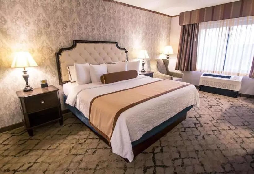 Standard Room King Size Bed, Best Western Plus Fairfield Executive Inn
