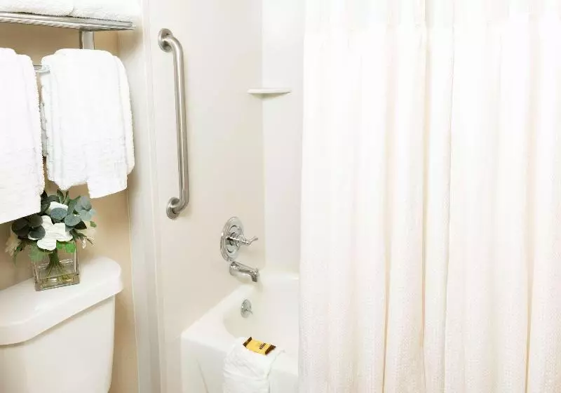 اتاق استاندارد با تخت بزرگ, Best Western Plus Inn At The Vines