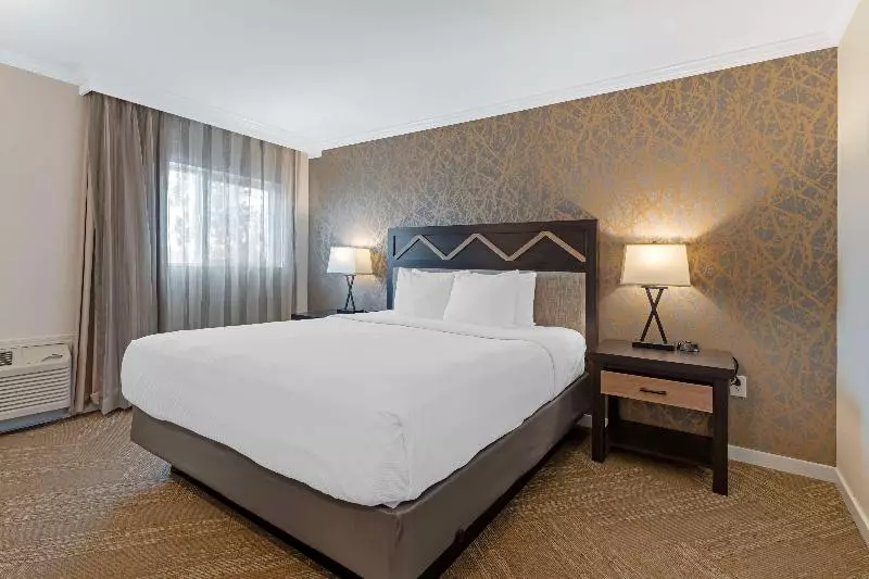 اتاق استاندارد با تخت بزرگ, Best Western Plus Inn At The Vines