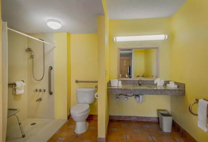 デラックスルーム, Express Inn & Suites   5 Miles From St Petersburg Clearwater Airport