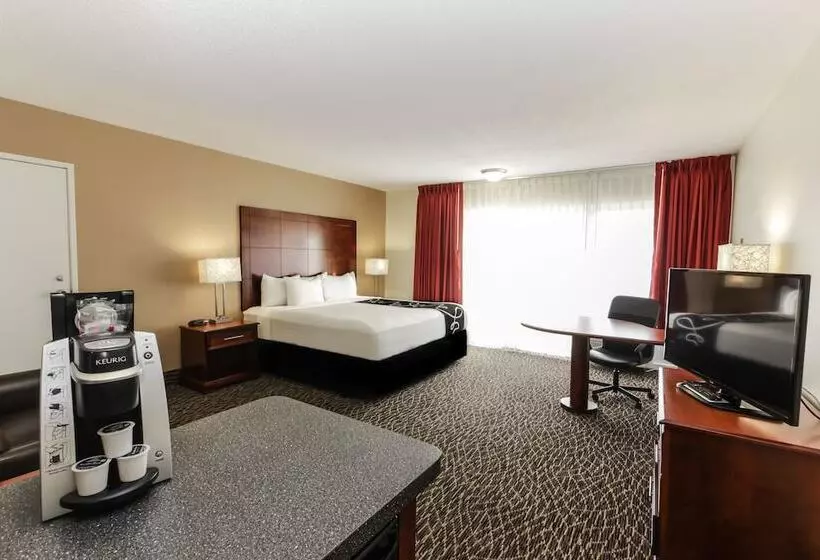 Deluxe-sviitti, La Quinta By Wyndham Clearwater Central