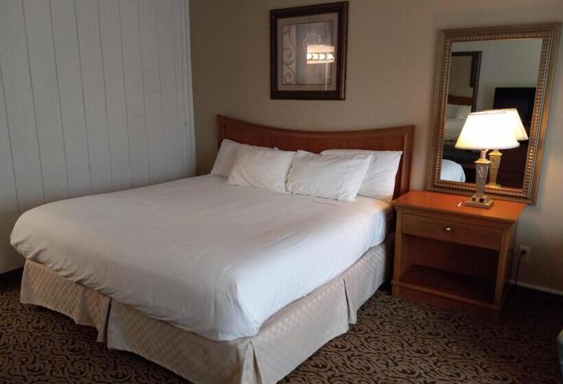 Номер Стандарт, Lupine Inn