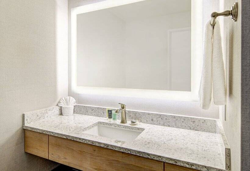 דירת דלוקס 2 חדרי שינה, Hallmark Resort   Newport