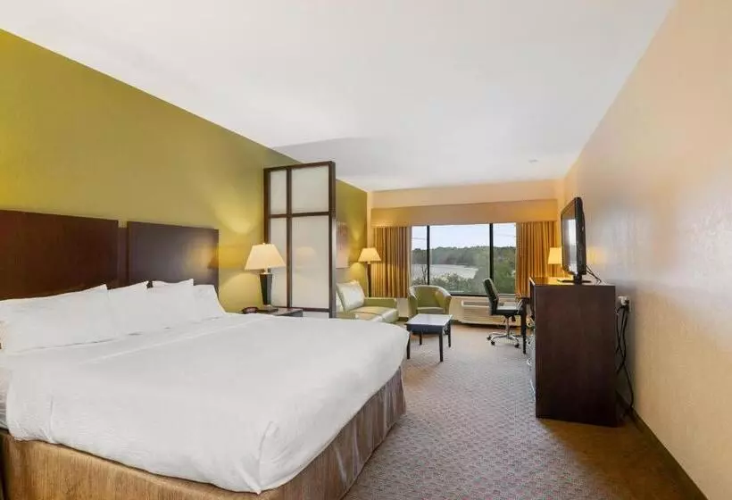 身障者適用キングサイズベッドルーム, Antioch Hotel & Suites