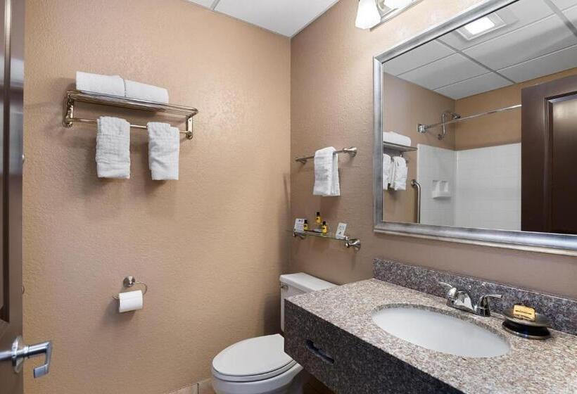 غرفة قياسية سرير كينج لذوى الإحتياجات الخاصة, Antioch Hotel & Suites