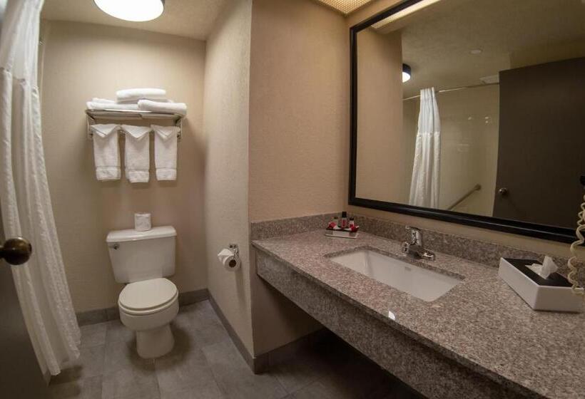 מיטת קינג בסוויטה, Baymont By Wyndham Shakopee