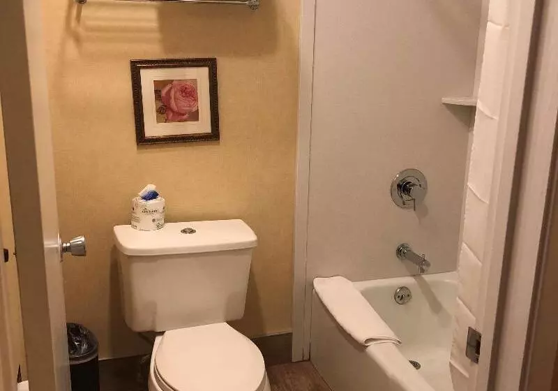 اتاق استاندارد با تخت بزرگ, Best Western Inn Santa Clara