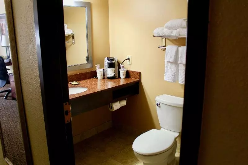 キングサイズベッドのスタンダードルーム, Best Western Plus Dakota Ridge