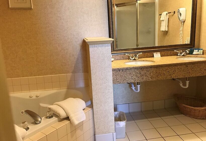 Люкс с гидромассажем, Best Western Plus Revere Inn & Suites