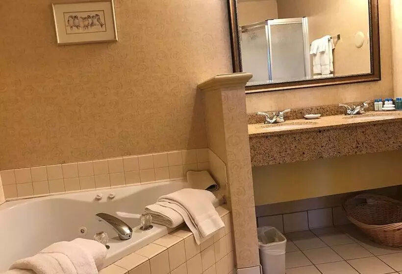 ハイドロマッサージバス付きスイート, Best Western Plus Revere Inn & Suites