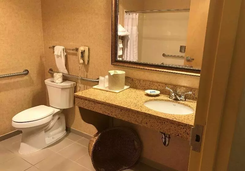 キングサイズベッドのスタンダードルーム, Best Western Plus Revere Inn & Suites