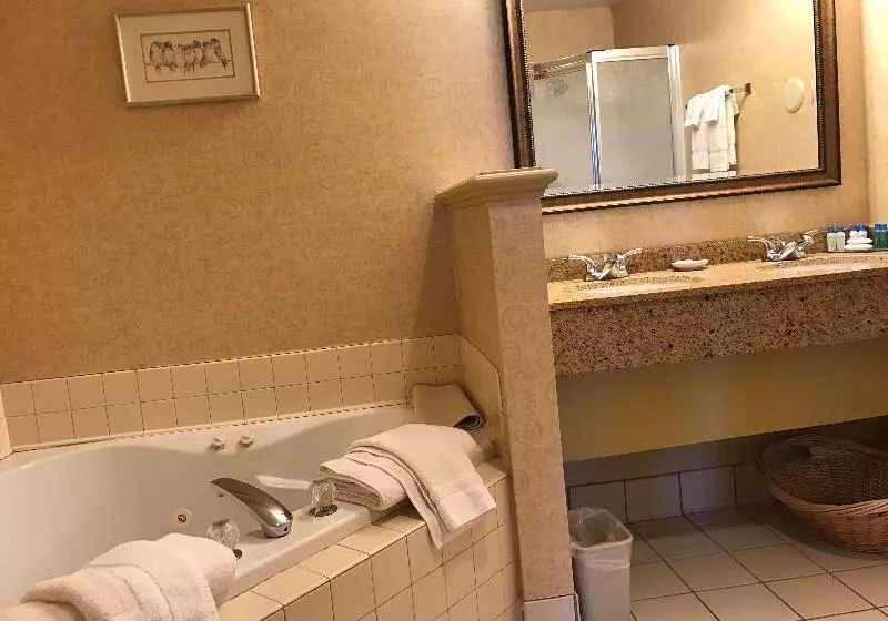 キングサイズベッドのスイートルーム, Best Western Plus Revere Inn & Suites