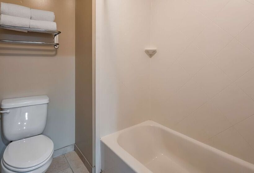 Номер Стандарт Вид на Реку, Best Western River Terrace