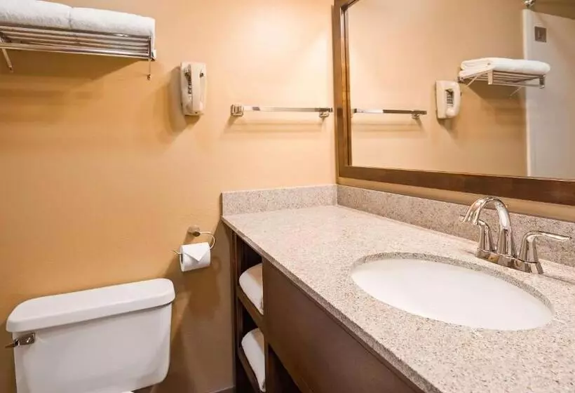 اتاق عادی, Best Western Sunset Inn