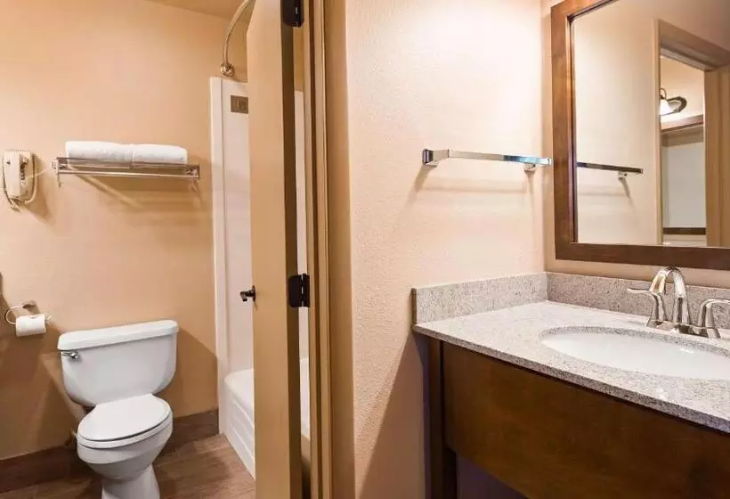 اتاق استاندارد با تخت بزرگ, Best Western Sunset Inn