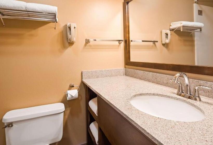 غرفة قياسية سرير كينج, Best Western Sunset Inn