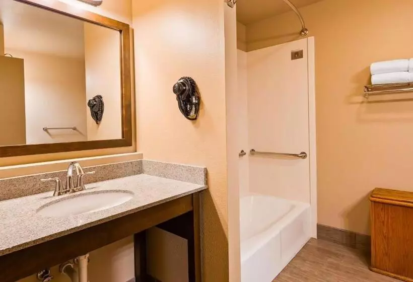 اتاق استاندارد برای معلولان, Best Western Sunset Inn