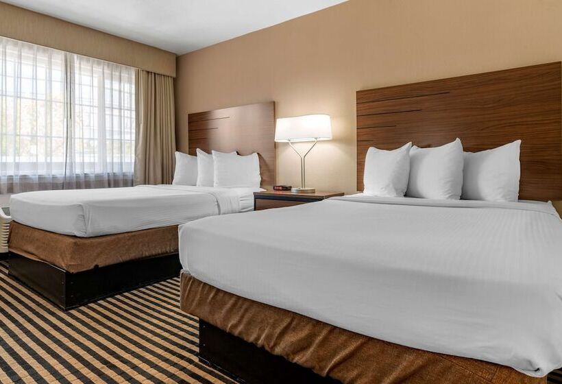 Номер Стандарт 2 Двуспальные Кровати, Best Western Town House Lodge