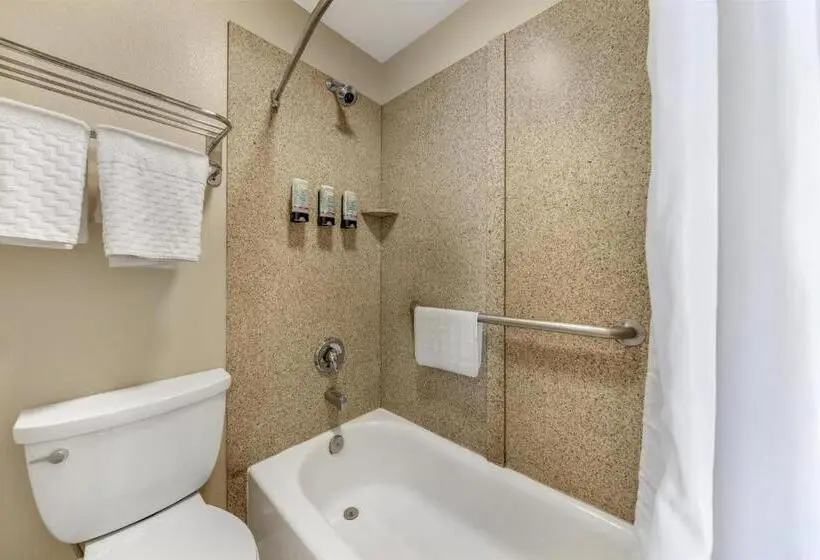 اتاق استاندارد با تخت بزرگ, Best Western Tradewinds