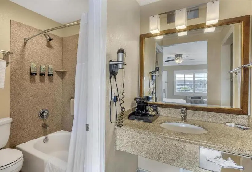 اتاق استاندارد با تخت بزرگ, Best Western Tradewinds