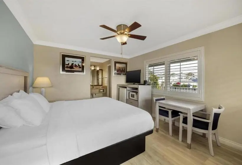 اتاق استاندارد با تخت بزرگ, Best Western Tradewinds