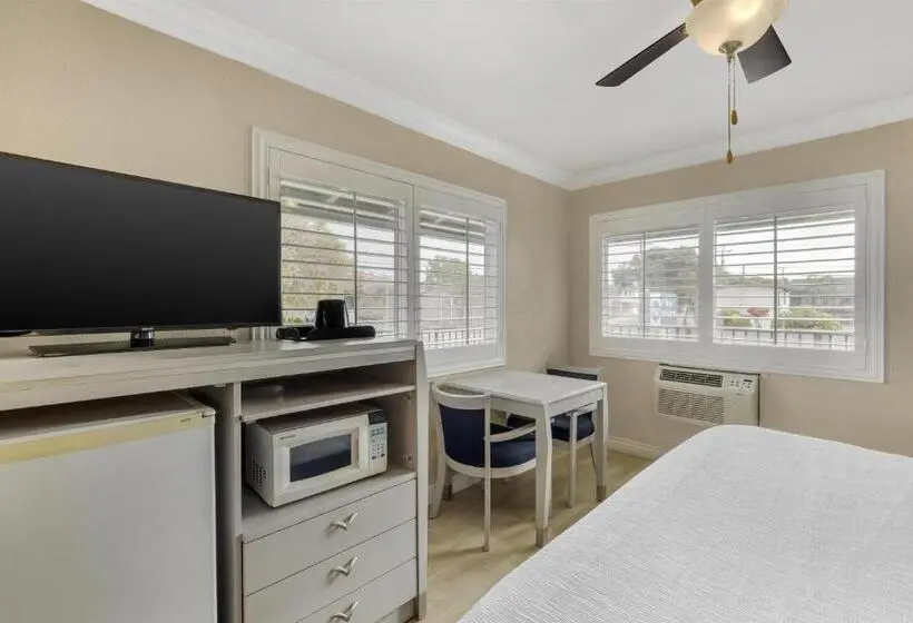 اتاق استاندارد با تخت بزرگ, Best Western Tradewinds