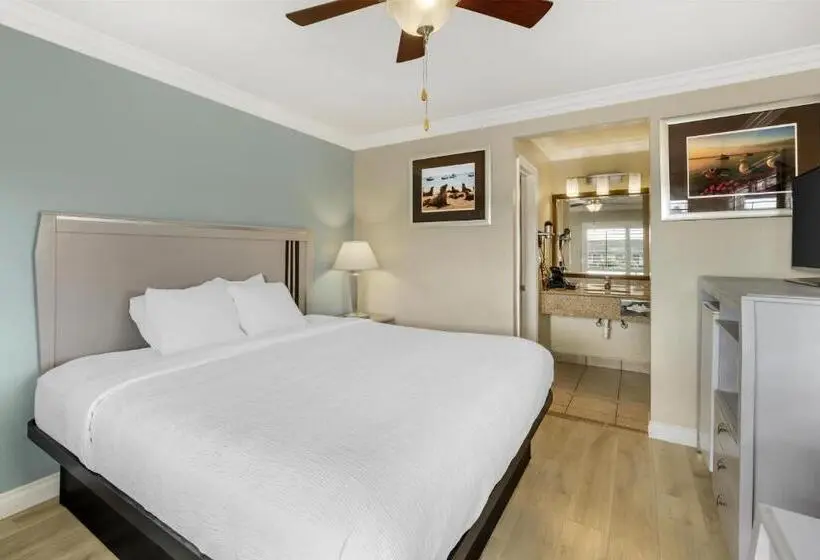 اتاق استاندارد با تخت بزرگ, Best Western Tradewinds