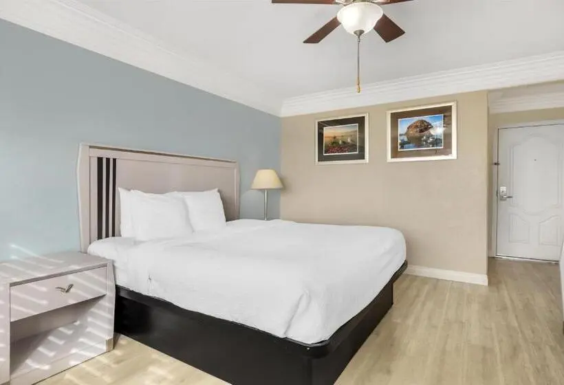 اتاق استاندارد با چشم‌انداز, Best Western Tradewinds