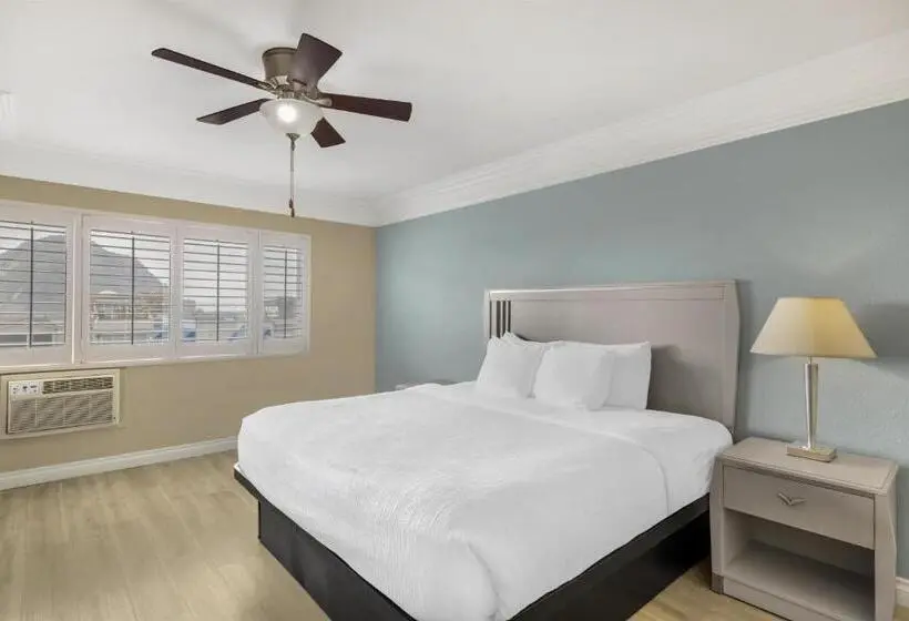 اتاق استاندارد با چشم‌انداز, Best Western Tradewinds