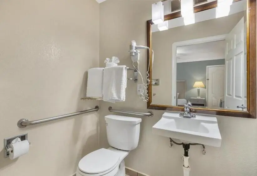 اتاق استاندارد با تخت بزرگ برای معلولان, Best Western Tradewinds