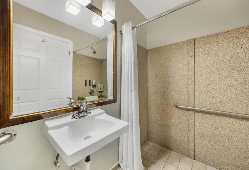 اتاق استاندارد با تخت بزرگ برای معلولان, Best Western Tradewinds