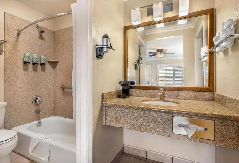 Standard-huone King-vuode, Best Western Tradewinds